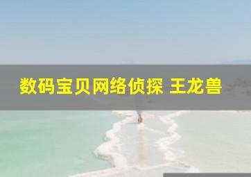 数码宝贝网络侦探 王龙兽